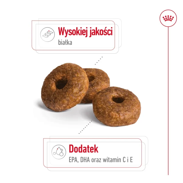 Karma sucha Royal Canin Medium Ageing 10+ dla psów ras średnich 15 kg — widok 5