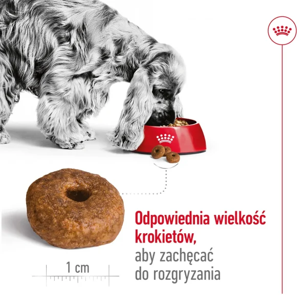 Karma sucha Royal Canin Medium Ageing 10+ dla psów ras średnich 15 kg — widok 6