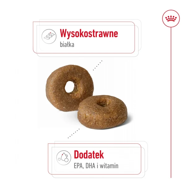 Karma sucha Royal Canin Maxi Ageing 8+ dla starszych psów dużych ras 15 kg — widok 4
