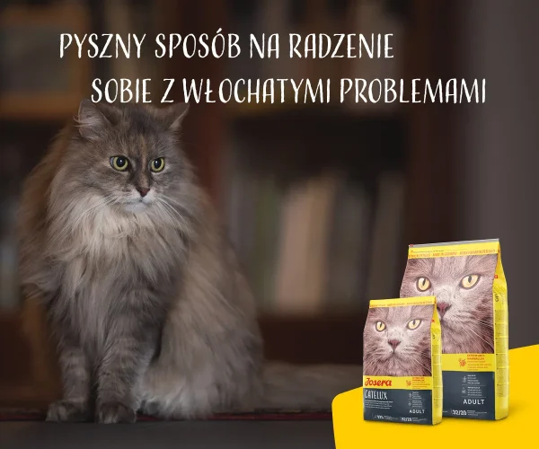 Karma sucha Josera Catelux dla kota dorosłego drób 400 g — widok 9