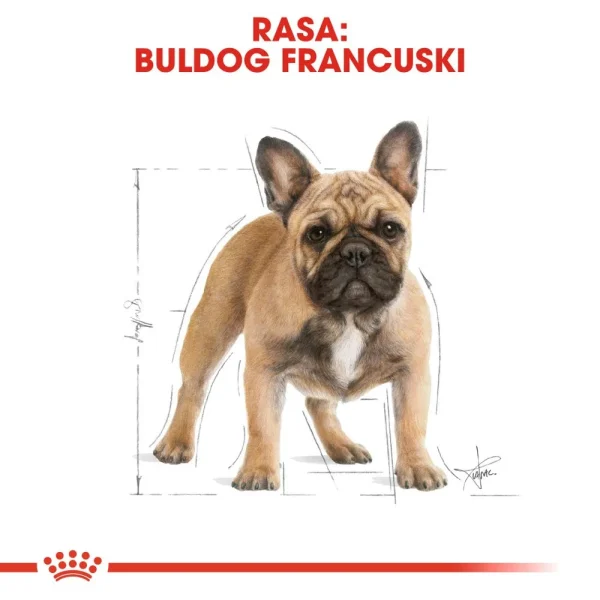 Karma sucha Royal Canin French Bulldog Adult dla buldoga francuskiego 9 kg — widok 4