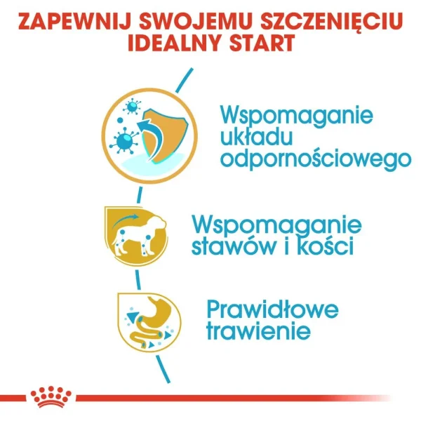 Karma sucha Royal Canin Dachshund Puppy dla szczeniąt jamnika 1,5 kg — widok 4