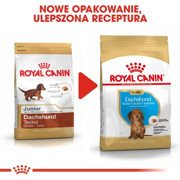 Karma sucha Royal Canin Dachshund Puppy dla szczeniąt jamnika 1,5 kg — widok 8