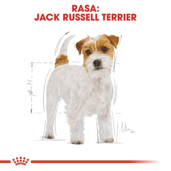 Karma sucha Royal Canin Jack Russell Terrier Adult dla psów rasy jack russell terrier 7,5 — widok 2