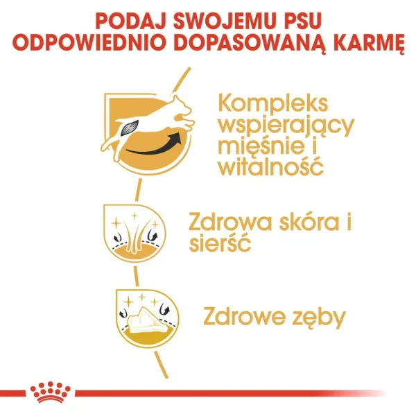 Karma sucha Royal Canin Jack Russell Terrier Adult dla psów rasy jack russell terrier 7,5 — widok 4