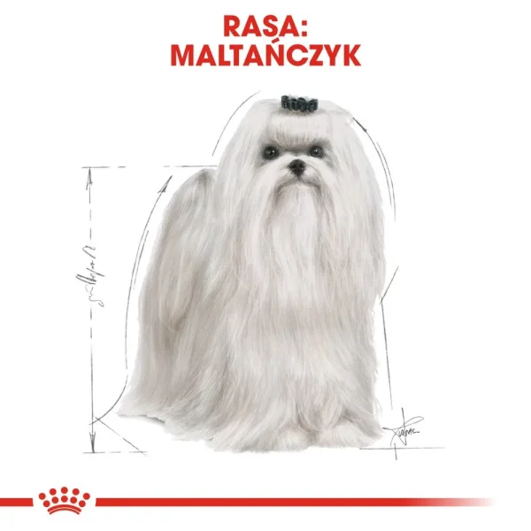 Karma sucha Royal Canin Maltese Adult dla maltańczyka 500 g — widok 3