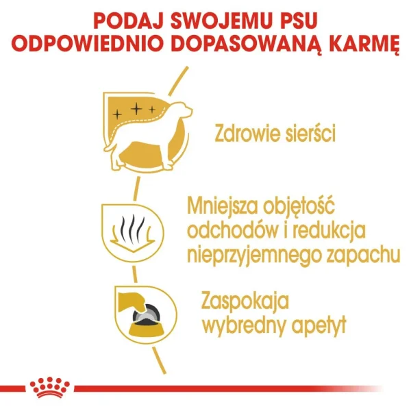 Karma sucha Royal Canin Maltese Adult dla maltańczyka 500 g — widok 5