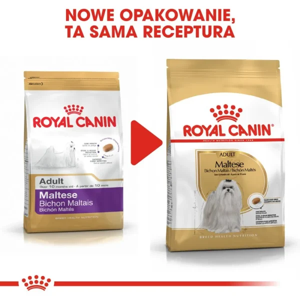 Karma sucha Royal Canin Maltese Adult dla maltańczyka 500 g — widok 8