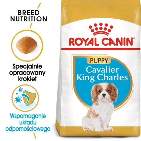 Karma sucha Royal Canin Cavalier King Charles Spaniel Puppy dla szczeniąt małych ras 1,5