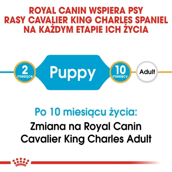 Karma sucha Royal Canin Cavalier King Charles Spaniel Puppy dla szczeniąt małych ras 1,5 — widok 2
