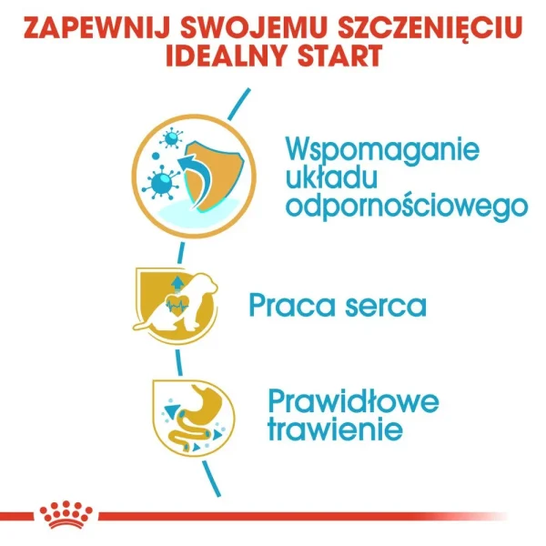 Karma sucha Royal Canin Cavalier King Charles Spaniel Puppy dla szczeniąt małych ras 1,5 — widok 4