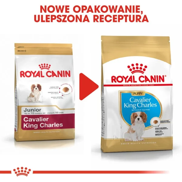Karma sucha Royal Canin Cavalier King Charles Spaniel Puppy dla szczeniąt małych ras 1,5 — widok 8