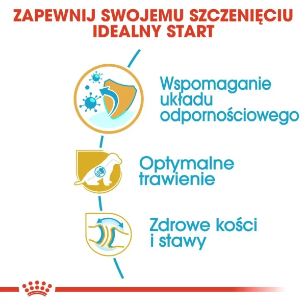 Karma sucha Royal Canin German Shepherd Puppy dla szczeniąt owczarka niemieckiego 12 kg — widok 5