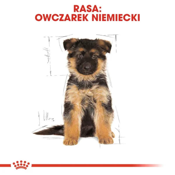 Karma sucha Royal Canin German Shepherd Puppy dla szczeniąt owczarka niemieckiego 12 kg — widok 6