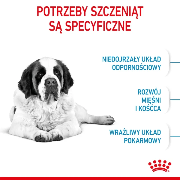 Karma sucha Royal Canin Giant Junior dla szczeniąt ras olbrzymich 15 kg — widok 5