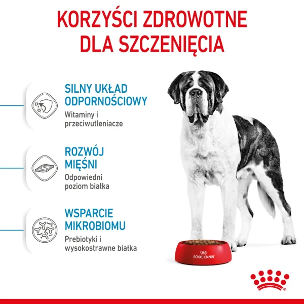 Karma sucha Royal Canin Giant Junior dla szczeniąt ras olbrzymich 15 kg — widok 6