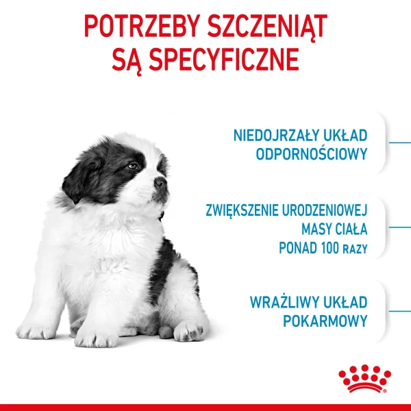Karma sucha Royal Canin Giant Puppy dla szczeniąt ras olbrzymich 15 kg — widok 7