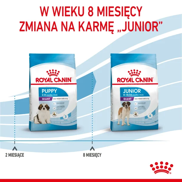 Karma sucha Royal Canin Giant Puppy dla szczeniąt ras olbrzymich 15 kg — widok 9
