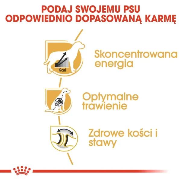 Karma sucha Royal Canin Great Dane Adult dla dorosłych psów ras olbrzymich 12 kg — widok 4