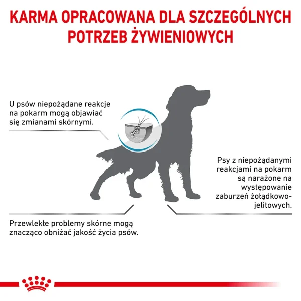 Karma sucha Royal Canin Hypoallergenic dla dorosłych psów 2 kg — widok 10