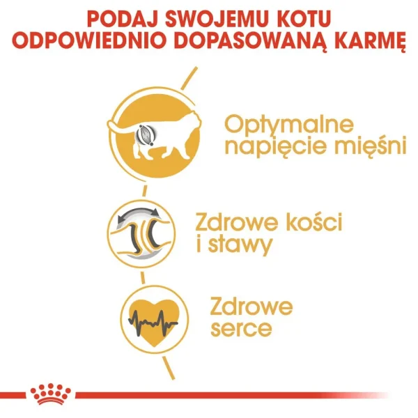 Karma sucha Royal Canin British Shorthair Adult dla kotów rasy brytyjski krótkowłosy 2 kg — widok 4