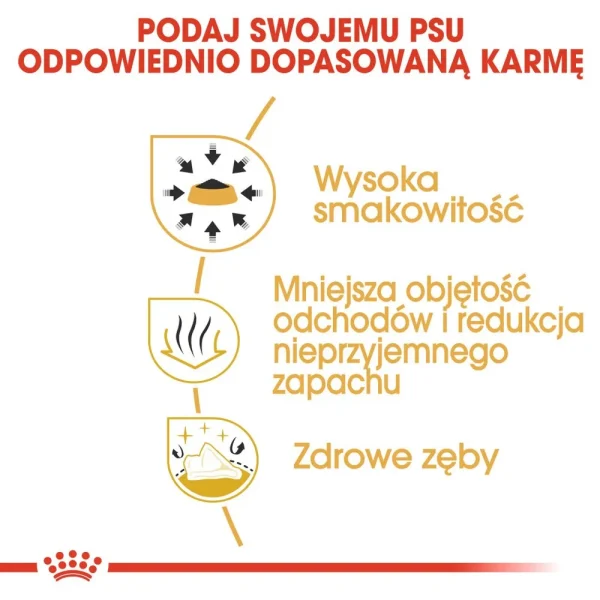 Karma sucha Royal Canin Chihuahua Adult dla dorosłych psów rasy chihuahua 500 g — widok 4