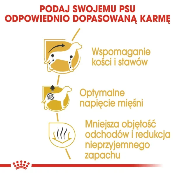 Karma sucha Royal Canin Dachshund Adult dla jamników 1,5 kg — widok 5