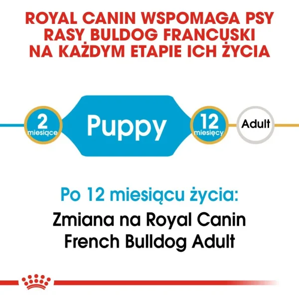 Karma sucha Royal Canin French Bulldog Puppy dla szczeniąt buldoga francuskiego 10 kg — widok 2