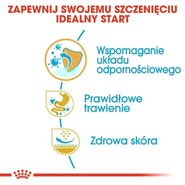 Karma sucha Royal Canin French Bulldog Puppy dla szczeniąt buldoga francuskiego 10 kg — widok 4