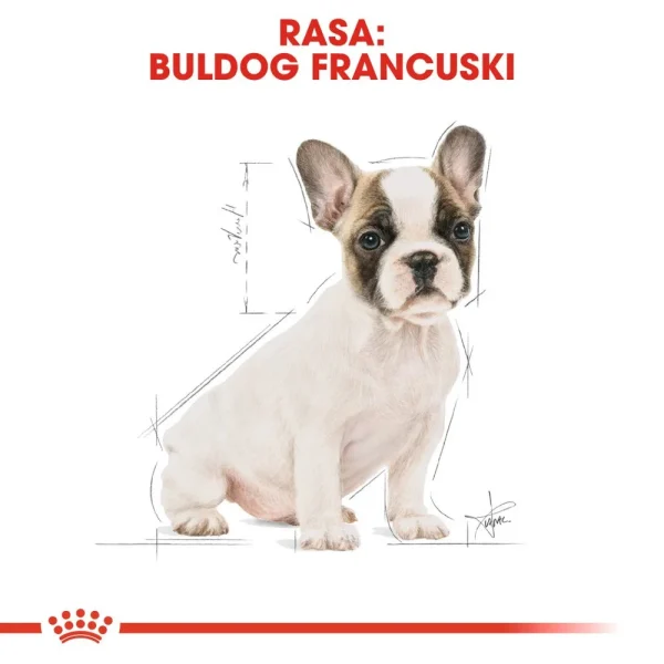 Karma sucha Royal Canin French Bulldog Puppy dla szczeniąt buldoga francuskiego 10 kg — widok 5