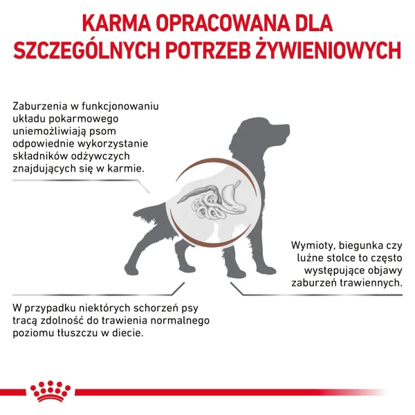 Karma sucha Royal Canin Gastrointestinal Low Fat dla dorosłych psów 12 kg — widok 3