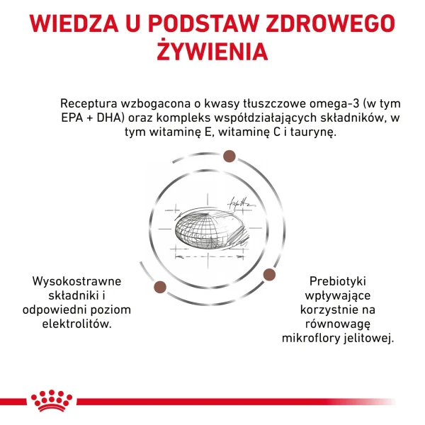 Karma sucha Royal Canin Gastrointestinal Low Fat dla dorosłych psów 12 kg — widok 4