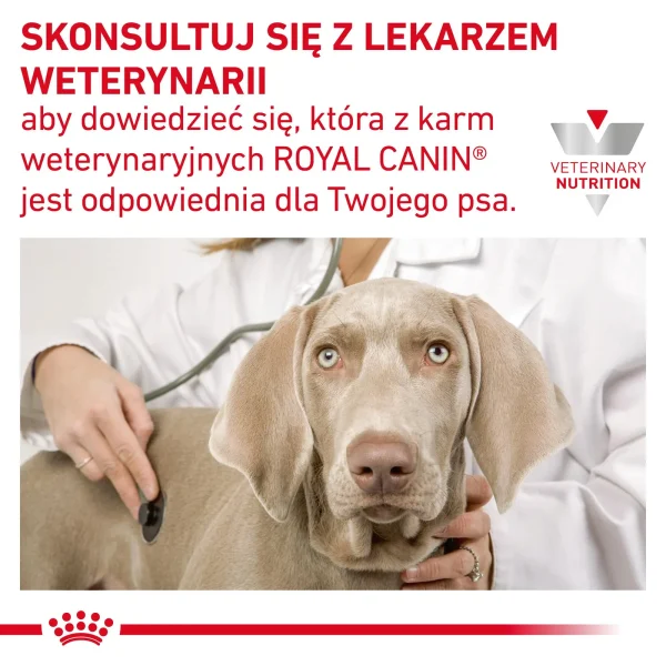 Karma sucha Royal Canin Gastrointestinal Low Fat dla dorosłych psów 12 kg — widok 9