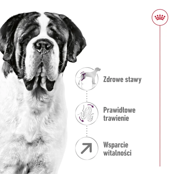Karma sucha Royal Canin Giant Adult dla ras olbrzymich 15 kg — widok 5