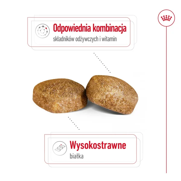 Karma sucha Royal Canin Giant Adult dla ras olbrzymich 15 kg — widok 6