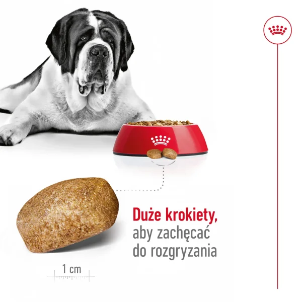 Karma sucha Royal Canin Giant Adult dla ras olbrzymich 15 kg — widok 7