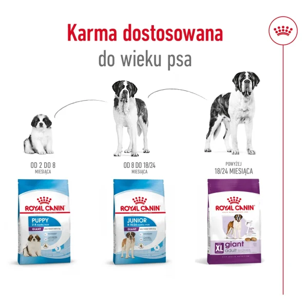 Karma sucha Royal Canin Giant Adult dla ras olbrzymich 15 kg — widok 8