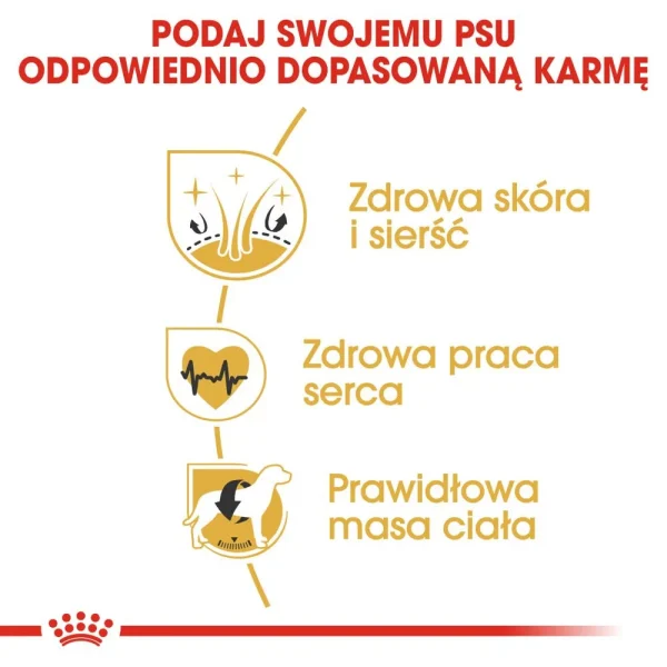 Karma sucha Royal Canin Golden Retriever Adult dla dużych ras golden retriever 12 kg — widok 5