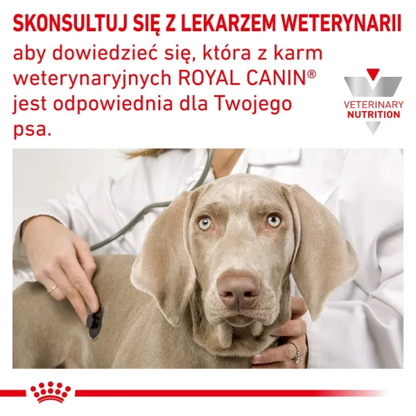 Karma sucha Royal Canin Hypoallergenic dla dorosłych psów 7 kg — widok 9