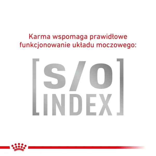 Karma sucha Royal Canin Hypoallergenic Small Dog dla dorosłych psów małych ras 3,5 kg — widok 4