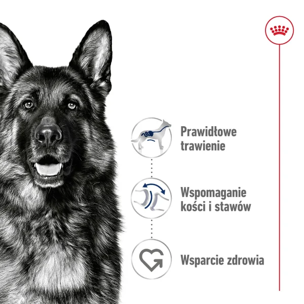 Karma sucha Royal Canin Maxi Adult dla dużych ras 15 kg — widok 5