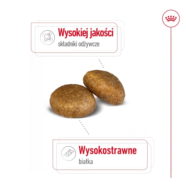Karma sucha Royal Canin Maxi Adult dla dużych ras 15 kg — widok 6