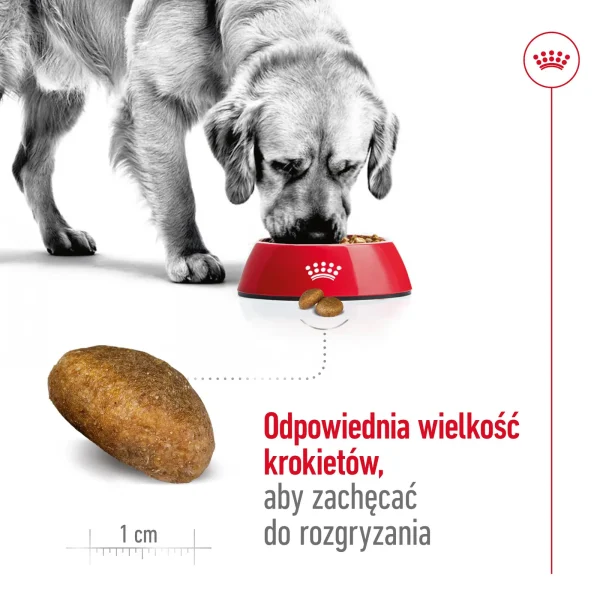 Karma sucha Royal Canin Maxi Adult dla dużych ras 15 kg — widok 7