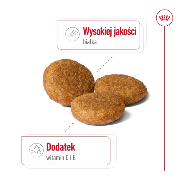 Karma sucha Royal Canin Medium Adult dla psów średnich ras 15 kg — widok 5