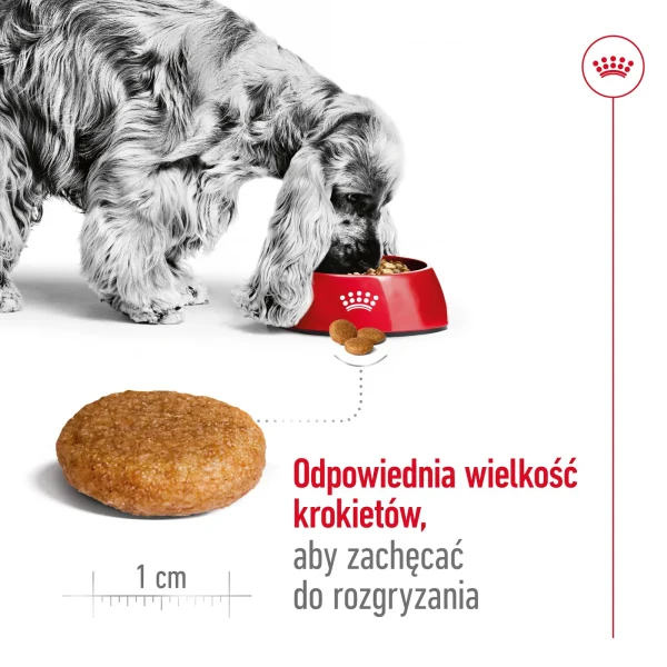 Karma sucha Royal Canin Medium Adult dla psów średnich ras 15 kg — widok 6
