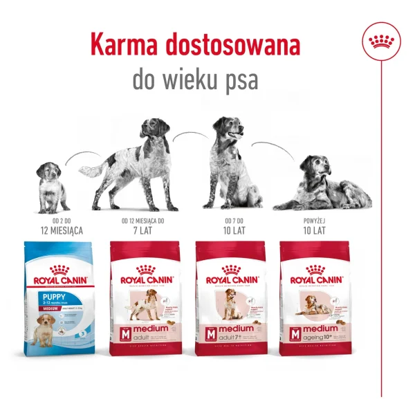 Karma sucha Royal Canin Medium Adult dla psów średnich ras 15 kg — widok 7