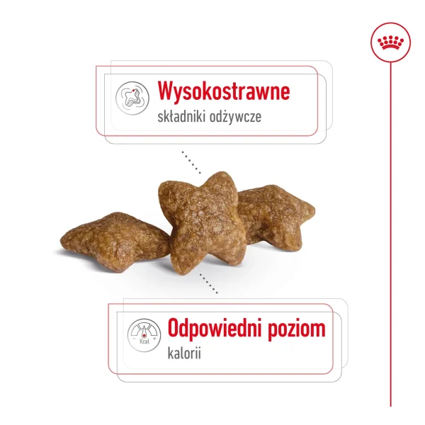 Karma sucha Royal Canin Mini Adult dla małych ras 2 kg — widok 6