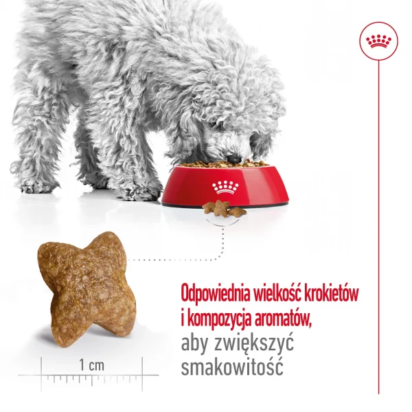 Karma sucha Royal Canin Mini Adult dla psów małych ras 8 kg — widok 7