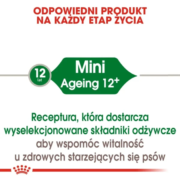 Karma sucha Royal Canin Mini Ageing 12+ dla psów ras małych 1,5 kg — widok 2