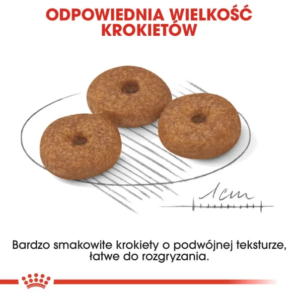 Karma sucha Royal Canin Mini Ageing 12+ dla psów ras małych 1,5 kg — widok 4